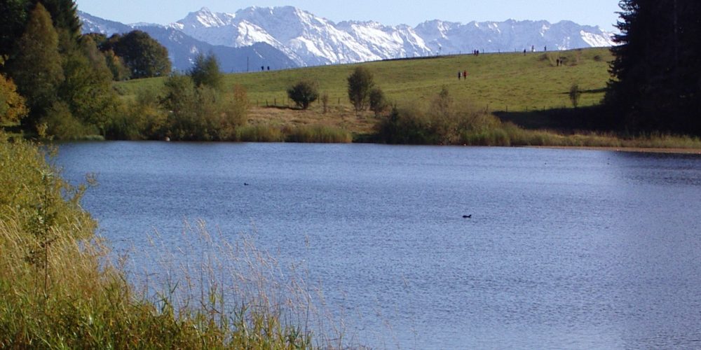 Herbst am Eschacherweiher