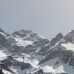 Alpenhauptkam