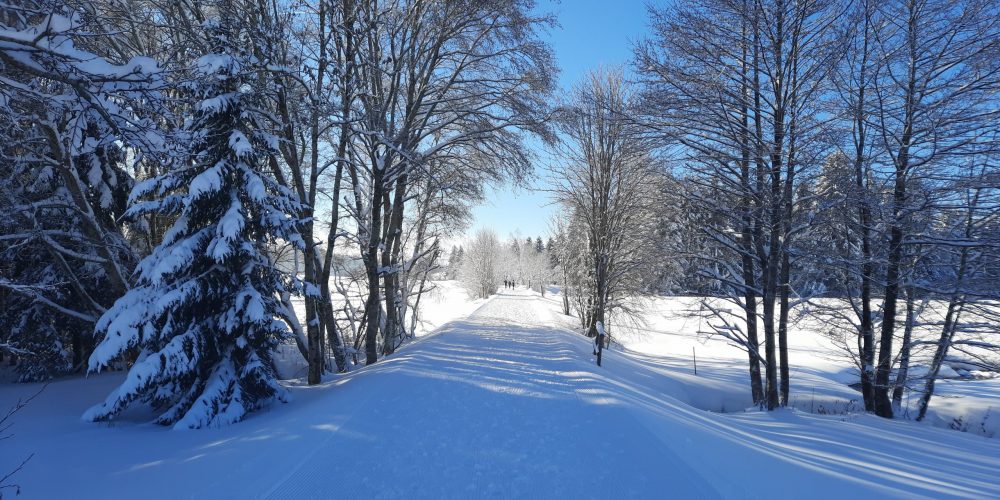 Winterwandern ab der Haustüre