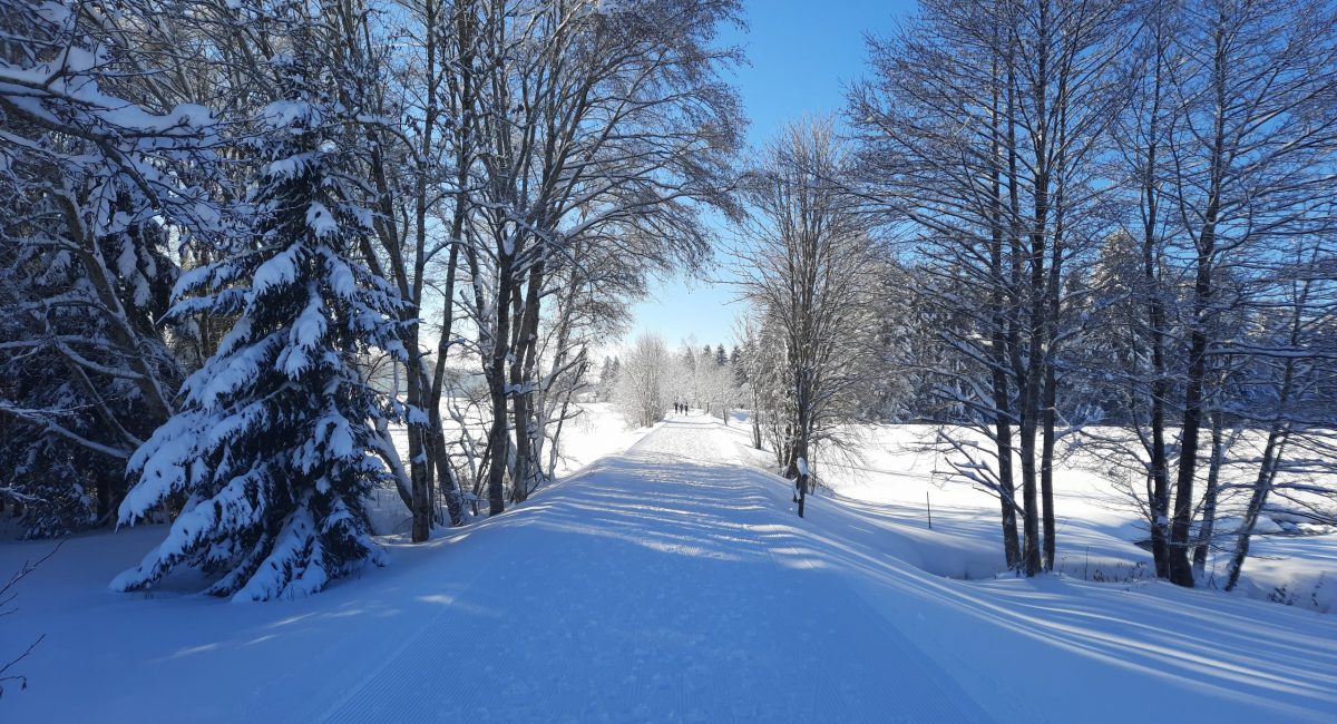 Winterwandern ab der Haustüre