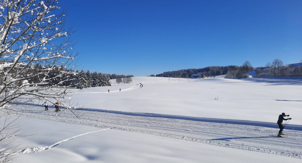 Langlaufen von der Haustüre weg